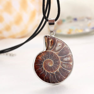 Polished Ammonite Fossil Necklace - Egret Jewellery